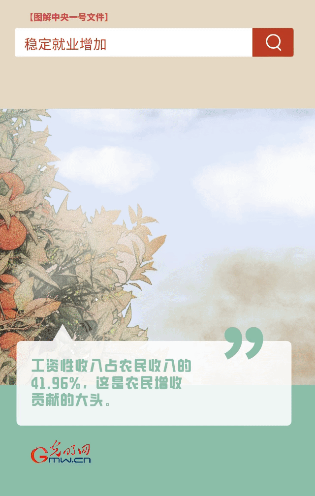 【圖解中央一號文件】“動”漫海報丨今年如何讓農民的“錢袋子”鼓起來？