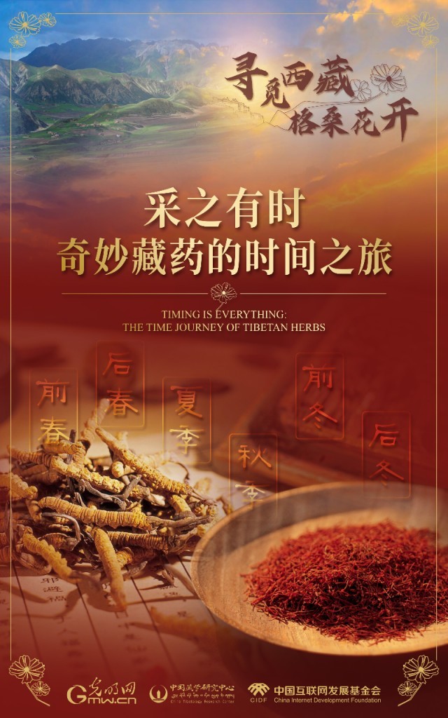 【尋覓西藏·格?；ㄩ_】采之有時(shí)：奇妙藏藥的時(shí)間之旅