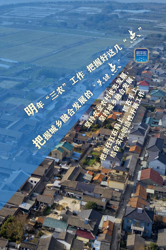 明年“三農”工作，這幾個“點”要把握好
