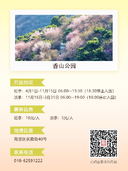 追花指南第六期！杏花雨 楊柳風 北京最美的杏花在這里