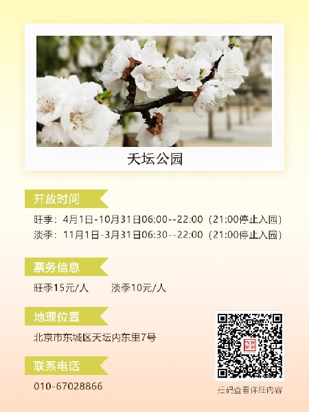 追花指南第六期！杏花雨 楊柳風 北京最美的杏花在這里