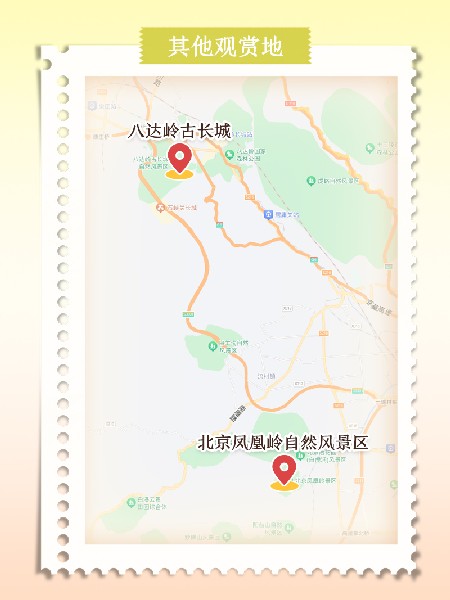 追花指南第六期！杏花雨 楊柳風 北京最美的杏花在這里