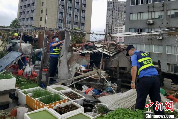 在一處居民樓屋頂，城管隊(duì)員拆除“空中菜園”?！〗疖?攝