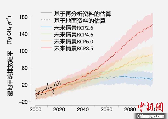 基于觀測(cè)的濕地甲烷排放變化與未來(lái)氣候變化情景下估算的對(duì)比?！≈锌圃呵嗖馗咴?供圖