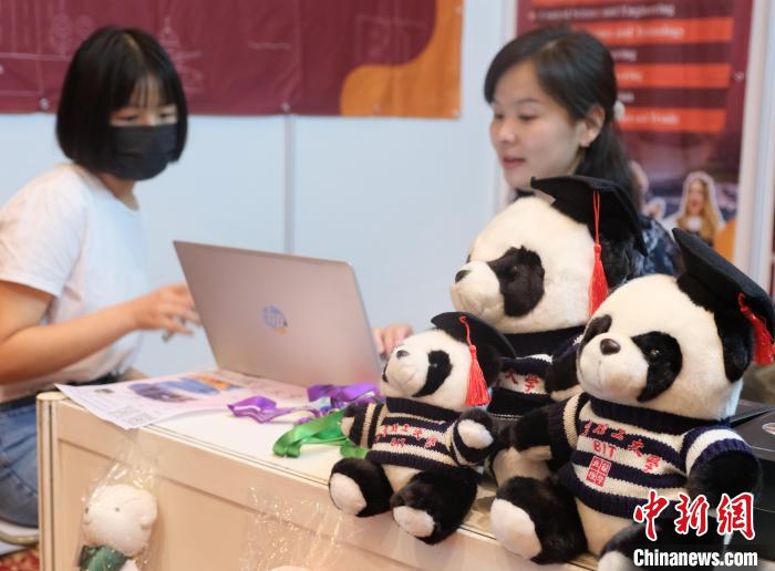 北京理工大學(xué)帶來可愛熊貓玩偶，頗為吸睛 陳悅 攝
