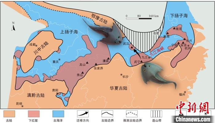 華南地區(qū)志留紀早期古地理圖和盔甲魚類化石產(chǎn)地(山顯任改自陳旭、戎嘉余，1996；戎嘉余等，2012) 中科院古脊椎所 供圖