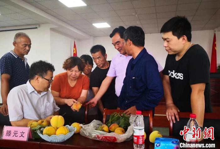 民進(jìn)浙江省委會(huì)為三里橋黃桃種植戶送技術(shù)、送指導(dǎo)?！〖紊平y(tǒng)戰(zhàn) 供圖
