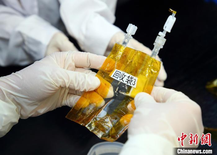 隨神舟十五號返回地面的空間科學(xué)實(shí)驗(yàn)樣品?！≈锌圃嚎臻g應(yīng)用中心 供圖