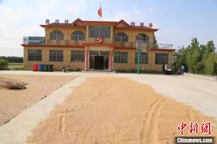 農(nóng)民在邳莊鎮(zhèn)尚莊村黨群服務(wù)中心大院里曬糧?！≠Z萌 攝