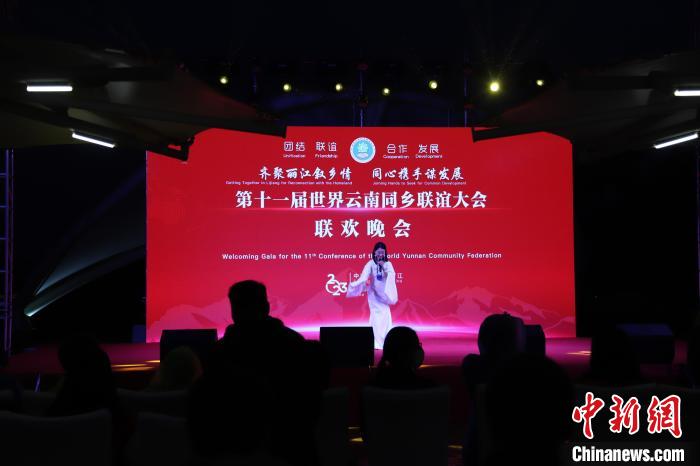 圖為第十一屆世界云南同鄉(xiāng)聯(lián)誼大會(huì)舉辦聯(lián)歡晚會(huì)?！〈抻澜?攝
