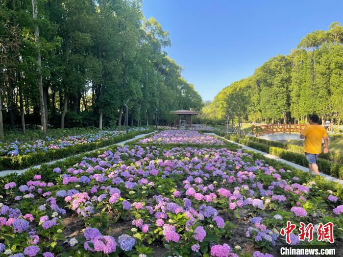 納民意、匯民智上海努力讓“公園城市”建設(shè)真正“合民心”