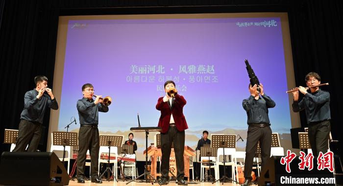圖為音樂會現場?！∈谞栔袊幕行墓﹫D