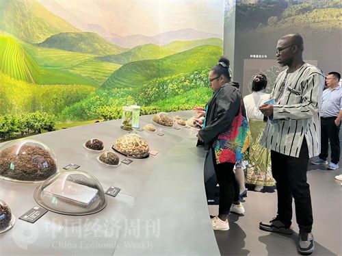  （在中國藥都中醫(yī)藥博物館，外媒記者了解中醫(yī)藥發(fā)展史。中國經(jīng)濟周刊記者 郭志強 攝）