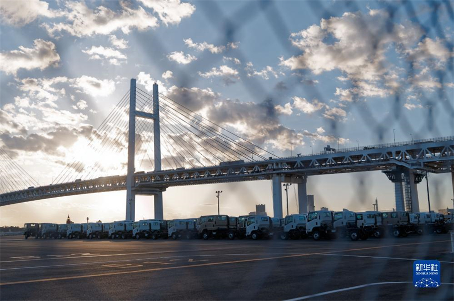 這是11月14日在日本橫濱拍攝的進(jìn)出口汽車集散場(chǎng)地。新華社記者 張笑宇 攝