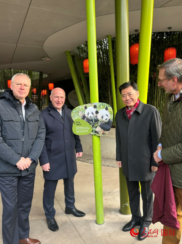 中國(guó)駐德國(guó)大使吳懇（右二）、柏林市長(zhǎng)韋格納（左二）、動(dòng)物園園長(zhǎng)克尼里姆（右一）和監(jiān)事會(huì)主席布魯克曼（左一）共同為“夢(mèng)想”“夢(mèng)圓”大熊貓紀(jì)念牌揭幕。人民網(wǎng)記者 徐馨攝