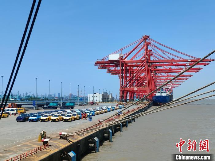 資料圖：國(guó)產(chǎn)新能源車(chē)在上海外高橋港區(qū)海通碼頭“整裝待發(fā)”。　浦帆 攝