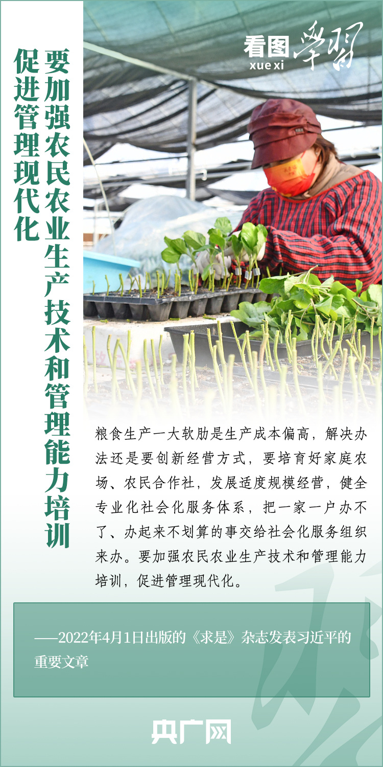 看圖學(xué)習(xí)丨推廣良田、良種、良法、良機(jī) 給農(nóng)業(yè)現(xiàn)代化插上科技的翅膀