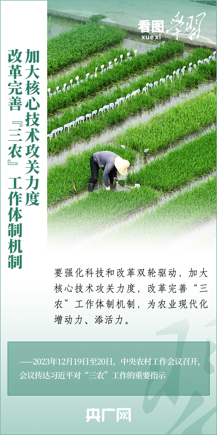 看圖學(xué)習(xí)丨推廣良田、良種、良法、良機(jī) 給農(nóng)業(yè)現(xiàn)代化插上科技的翅膀