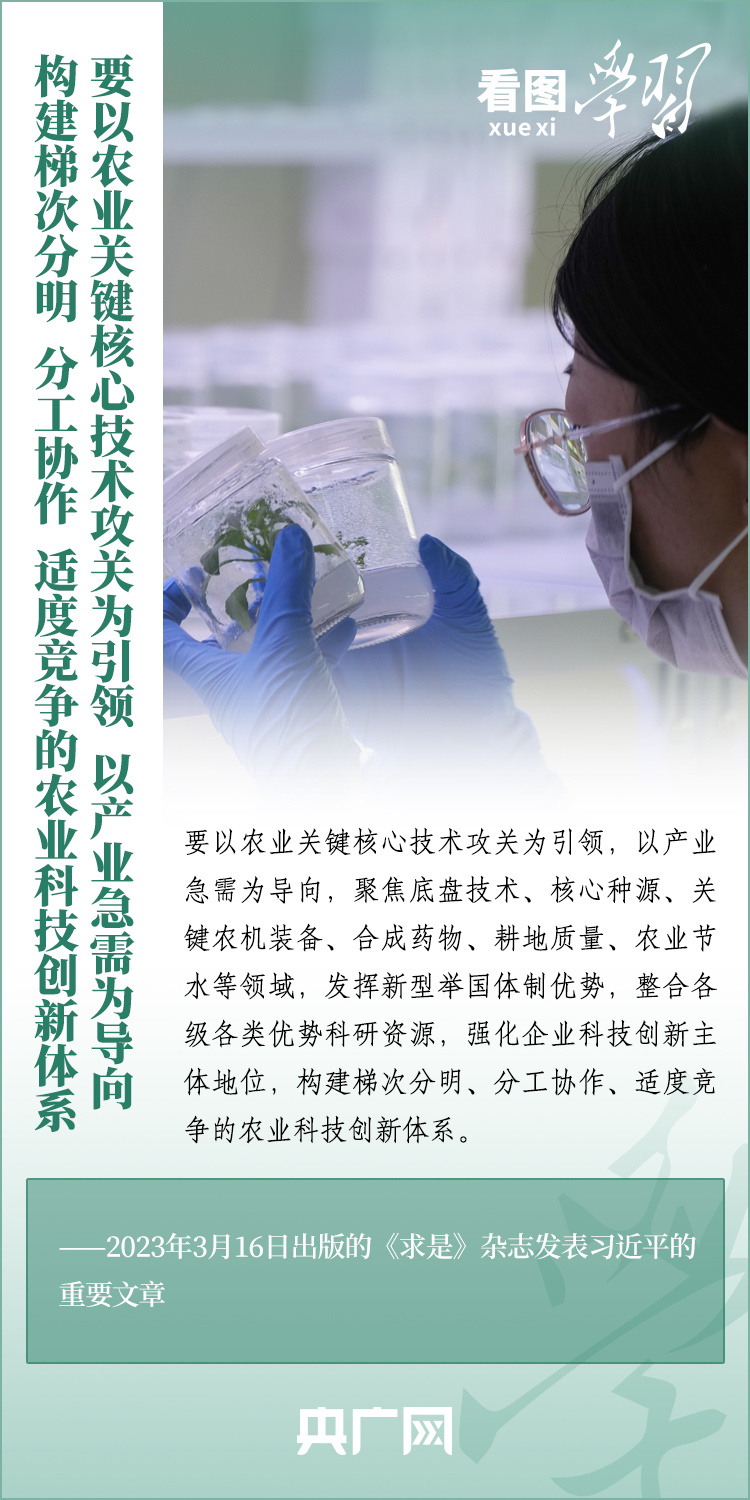 看圖學(xué)習(xí)丨推廣良田、良種、良法、良機(jī) 給農(nóng)業(yè)現(xiàn)代化插上科技的翅膀