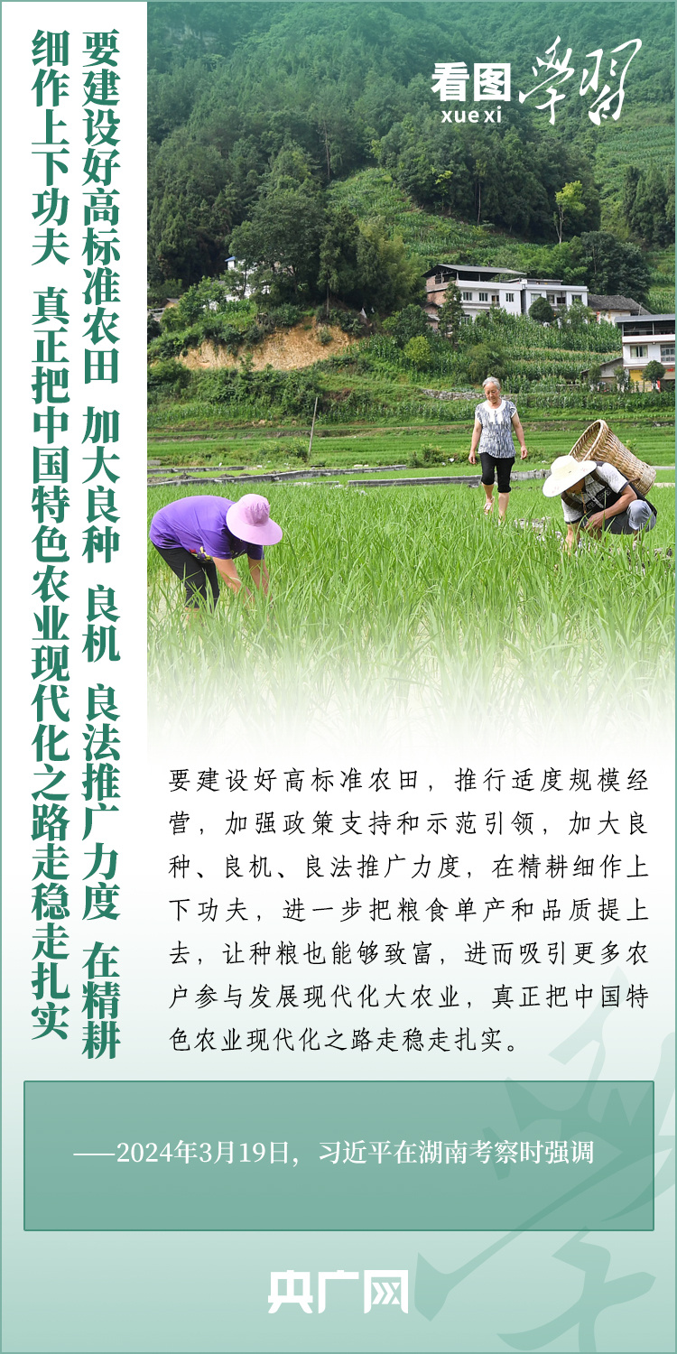 看圖學(xué)習(xí)丨推廣良田、良種、良法、良機(jī) 給農(nóng)業(yè)現(xiàn)代化插上科技的翅膀