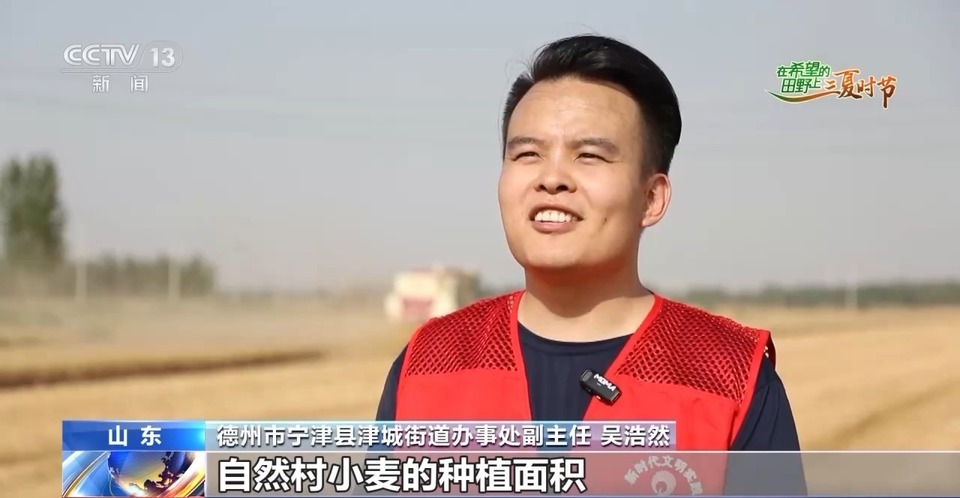 “三夏”生產(chǎn)思維導(dǎo)圖安排上了！還有政府大院等你來(lái)“曬”