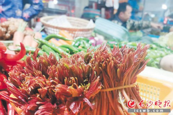 　　農(nóng)貿(mào)市場(chǎng)里鮮嫩的香椿?！　【鶠殚L(zhǎng)沙晚報(bào)全媒體記者 劉捷萍 攝