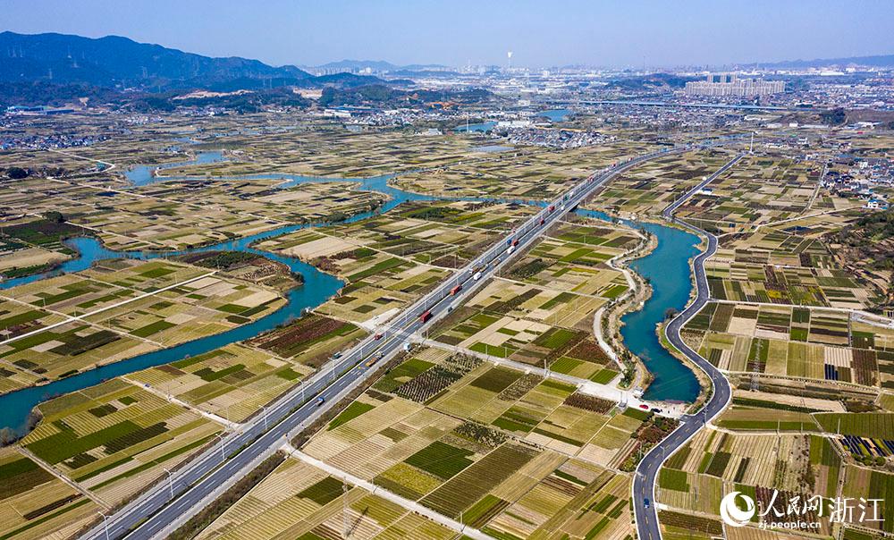 寧波市北侖區(qū)柴橋街道的萬畝花田猶如打翻的調(diào)色盤。人民網(wǎng) 章勇濤攝