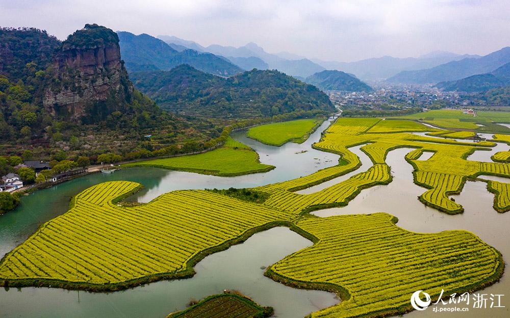 3月28日，航拍浙江省臨海市桃渚鎮(zhèn)桃江十三渚盛開的油菜花景色。人民網(wǎng) 章勇濤攝