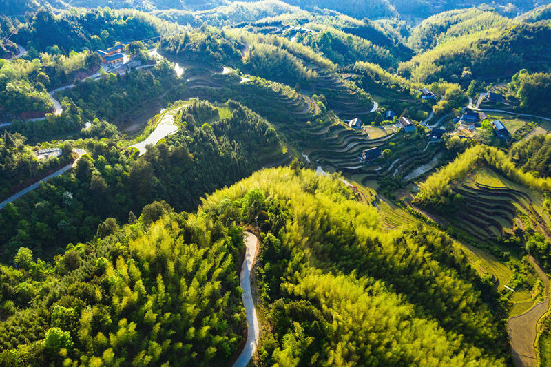 會(huì)同縣高椅鄉(xiāng)雪峰村的產(chǎn)業(yè)路盤旋在綠色的大山之間。田文國(guó)攝