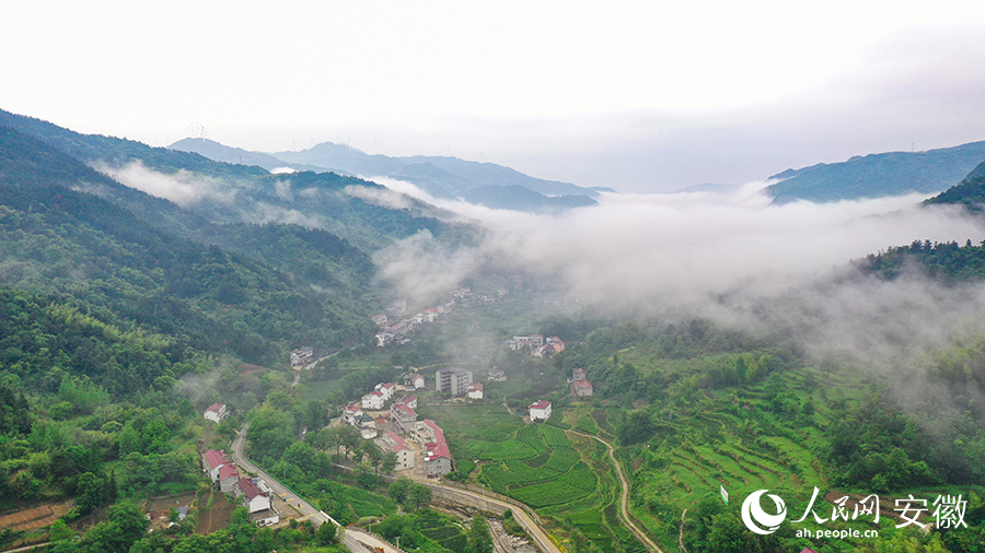 雨后的金寨大灣村，云霧環(huán)繞，宛如一幅田園山水畫(huà)卷。人民網(wǎng) 張俊攝