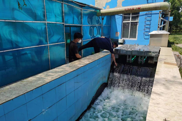 邯鄲市雞澤縣藍天污水處理廠員工正在出水口進行水質(zhì)檢測。鄭佳欣攝