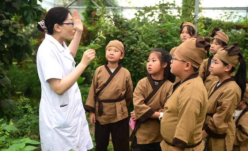 參加活動的孩子聆聽滄州市人民醫(yī)院國醫(yī)館中醫(yī)對中藥材的講解。 傅新春攝