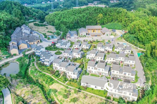 俯瞰大灣村。人民網(wǎng) 陳若天攝