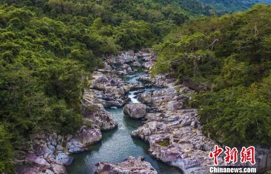 2018年海南生態(tài)環(huán)境狀況等級為“優(yōu)”，植被覆蓋率高，生物多樣性豐富，生態(tài)系統(tǒng)穩(wěn)定，圖為海南中部熱帶雨林?！●樤骑w　攝