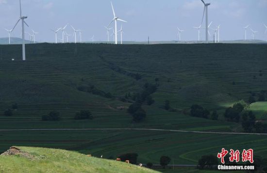 6月28日，河北張家口張北草原上大片風力發(fā)電的“風車”規(guī)模宏大。 中新社記者 楊艷敏 攝