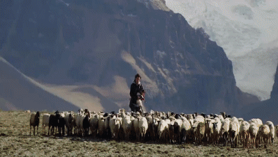 你看了嗎？藏語(yǔ)版《日光之城》“含金量”還在上升！