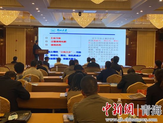 圖為論壇現(xiàn)場。李江寧攝