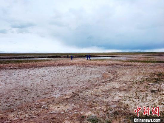 圖為救援力量在青海省西部搜救失聯(lián)的江蘇南京某大學(xué)女生黃某某。海西州藍天應(yīng)急救援中心 供圖