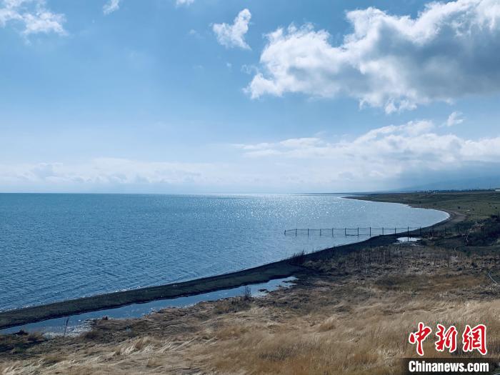 圖為青海湖畔。(資料圖) 張傲 攝