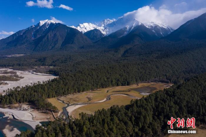 資料圖：西藏崗云杉林與遠處的雪峰。 何蓬磊 攝