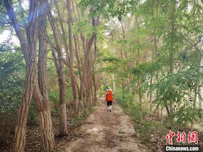 戈壁灘上的護(hù)林員：以前風(fēng)吹睜不開眼，現(xiàn)在滿眼皆綠色