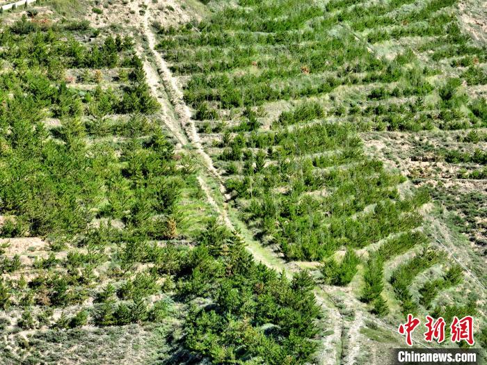 航拍建行青海省分行綠化區(qū)?！∑钤鲚?攝