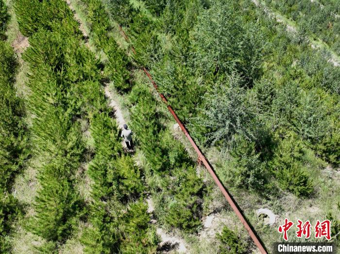 航拍建行青海省分行綠化區(qū)施工隊隊長盧占祥正在巡護綠化區(qū)?！∑钤鲚?攝