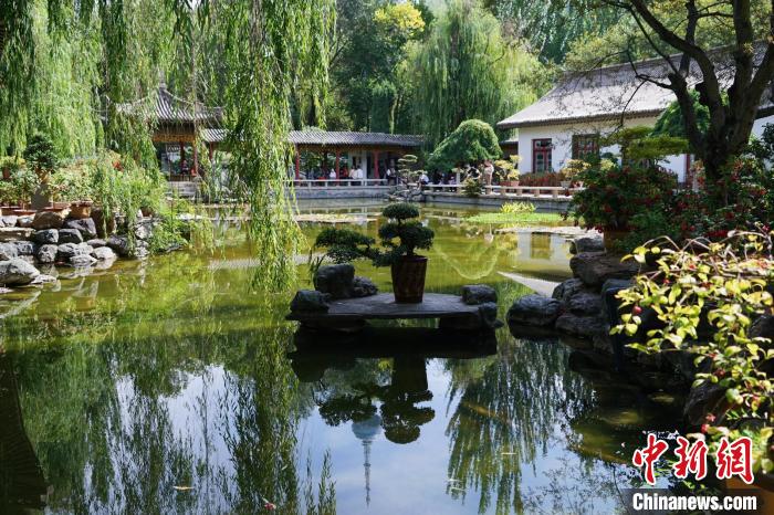 圖為西寧園林植物園秋日風(fēng)景別有韻味。　馬銘言 攝