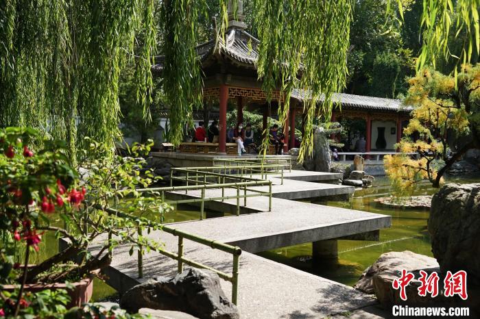 圖為西寧園林植物園秋日風(fēng)景別有韻味。　馬銘言 攝