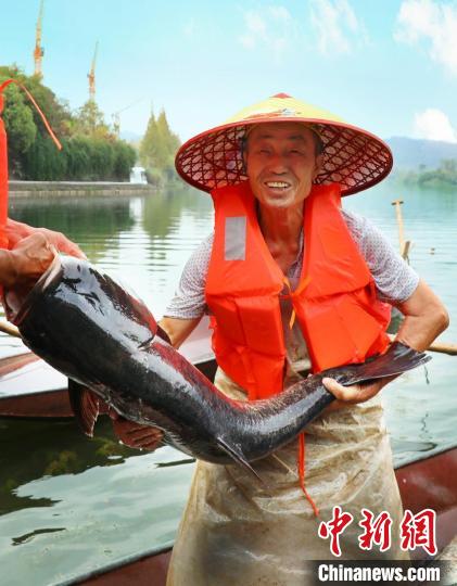 工作人員展示捕撈成果?！≈鬓k方供圖