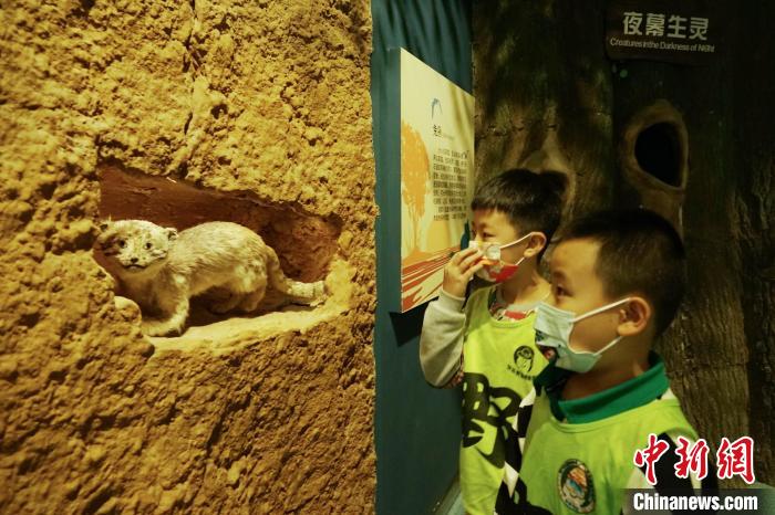 圖為小朋友在青海西寧湟水國(guó)家濕地公園科普館內(nèi)參觀學(xué)習(xí)?！●R銘言 攝