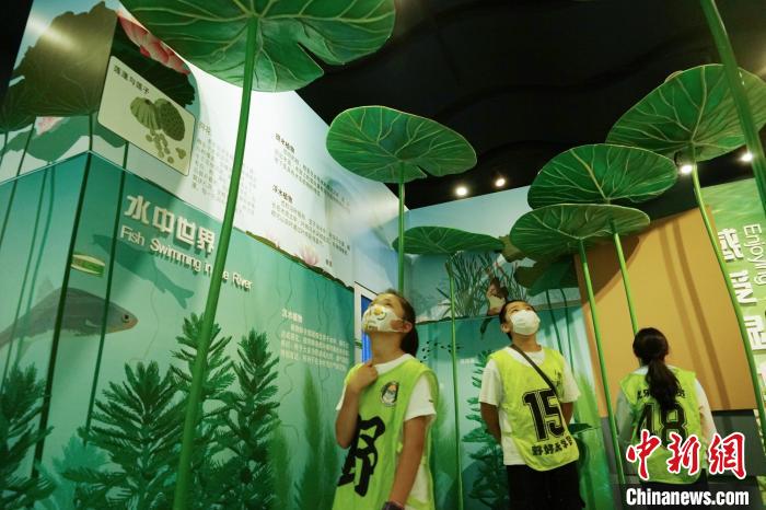 圖為小朋友在青海西寧湟水國(guó)家濕地公園科普館內(nèi)參觀學(xué)習(xí)?！●R銘言 攝