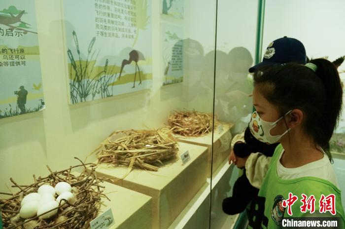 圖為小朋友在青海西寧湟水國(guó)家濕地公園科普館內(nèi)參觀學(xué)習(xí)?！●R銘言 攝