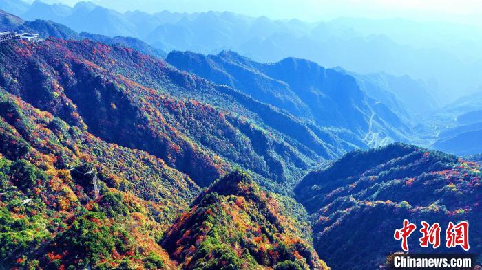 巴山大峽谷彩林迎來最佳觀賞期。　張平 攝